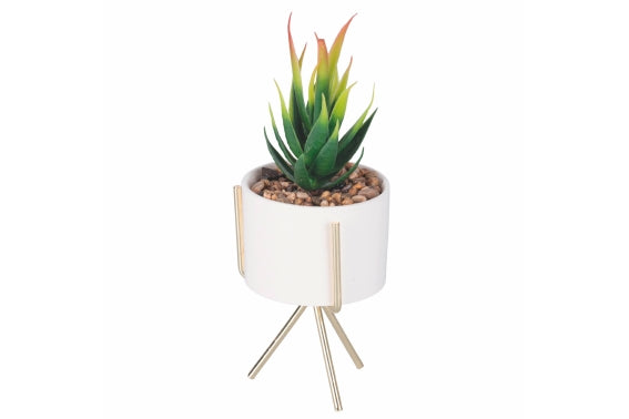 SUCCULENT SEEDLING WITH GOLD STAND H. 17CM 6 ASS - 2188530