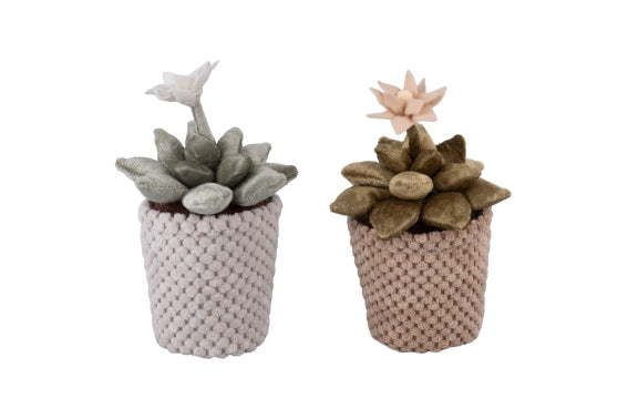 MINI FABRIC CACTUS H17CM 2ASS - 5926041