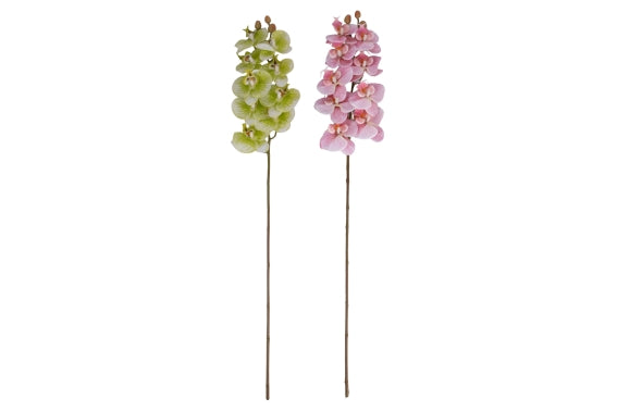 GARDEN ORCHID 94CM 2 ASS. - 5926608