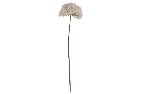 GARDEN DANDELION 70CM - 5926620