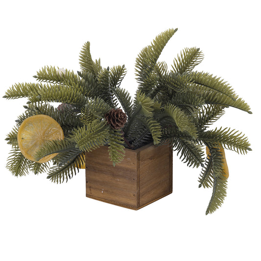 PLANT LEMON H.16 CM - 2188199
