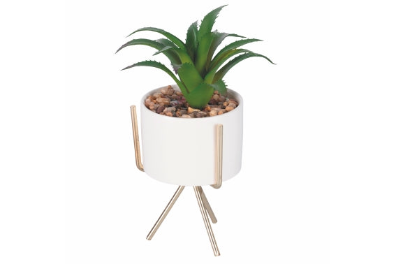 SUCCULENT SEEDLING WITH GOLD STAND H. 17CM 6 ASS - 2188530