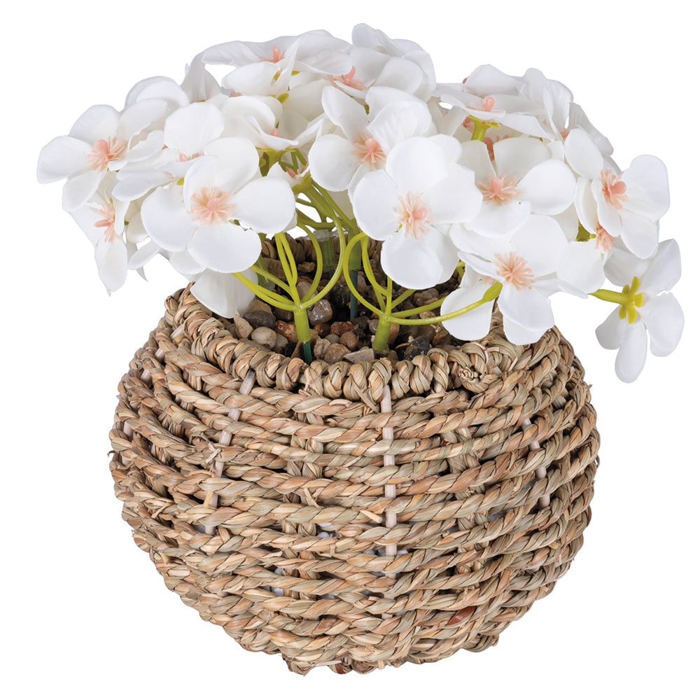 PRIMROSE PLANT   RAFFIA POT H. 20CM - 2188531