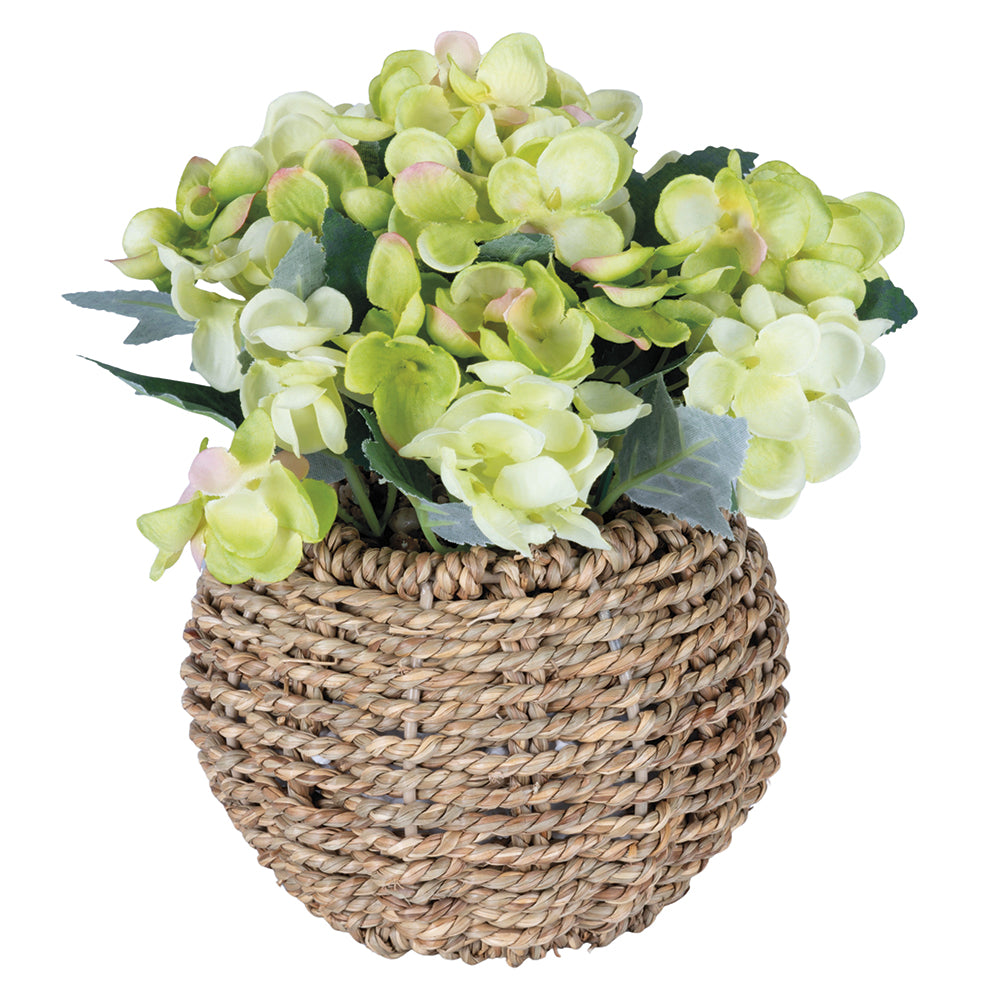HYDRANGEA PLANT   RAFFIA POT H. 20CM - 2188533