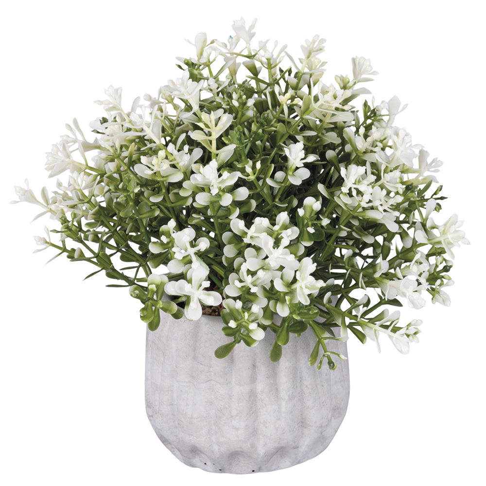 CONCRETE POTTED PLANT   WHITE FLOWERS H. 17CM - 2188535