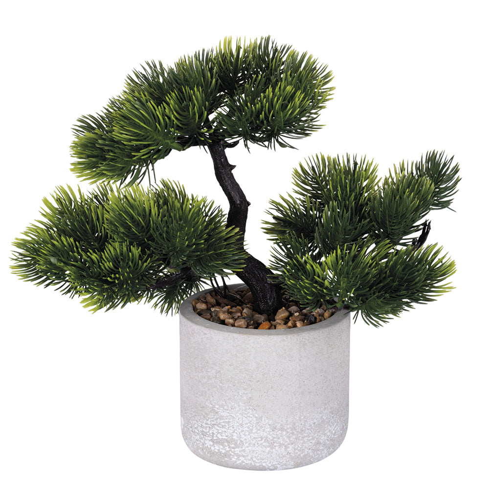 BONSAI PLANT H. 24 B - 2188537