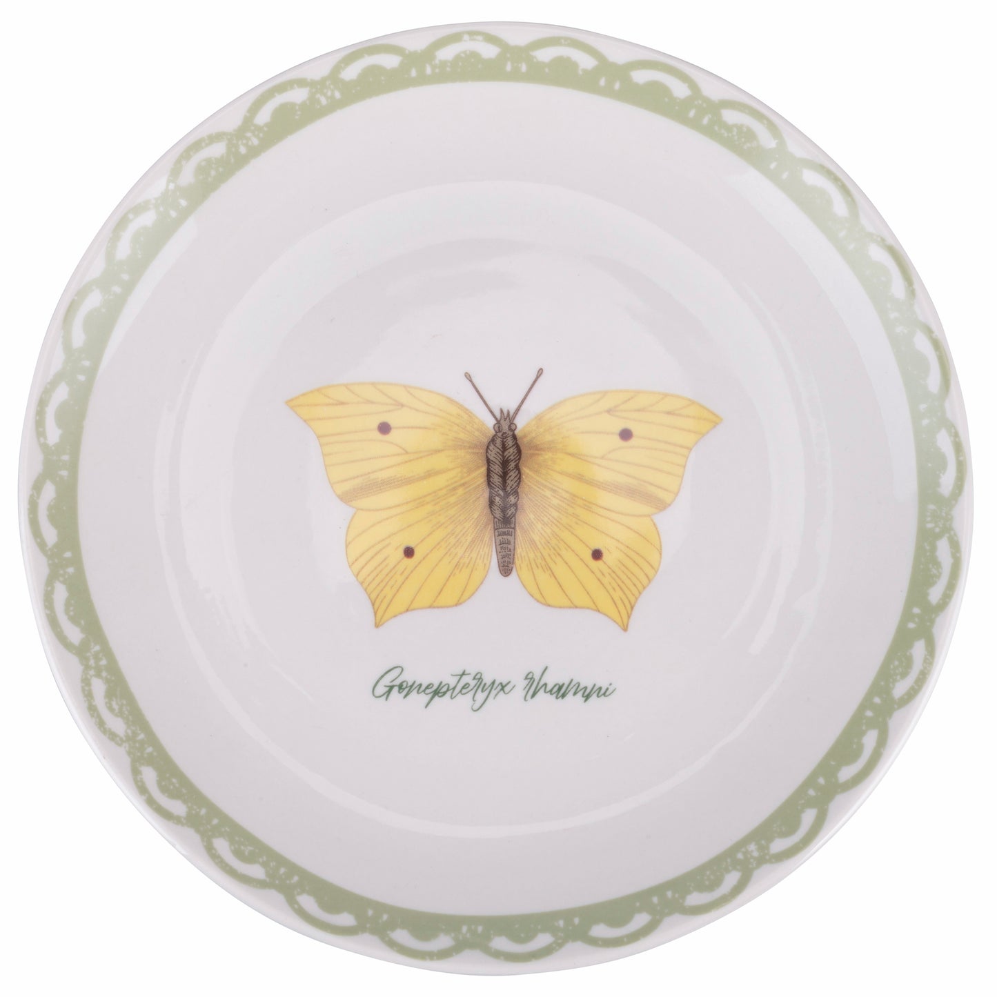 BOTANIST TABLE 18PCS - 5921794