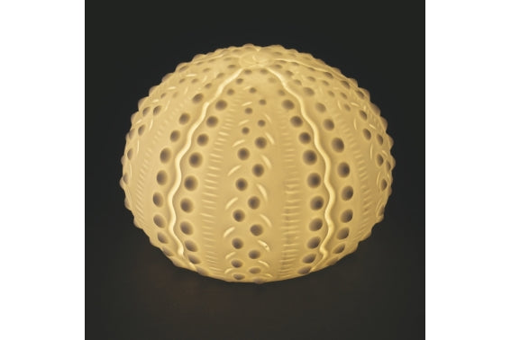 OCEAN SEA URCHIN LED 6.2CM - 5922928
