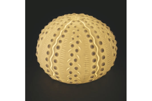 OCEAN SEA URCHIN LED 6.2CM - 5922928