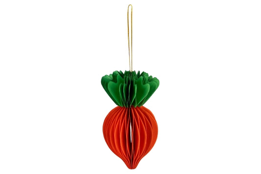 CARROT 120GSM PAPER + MAGNET 5X10CM - 5925370