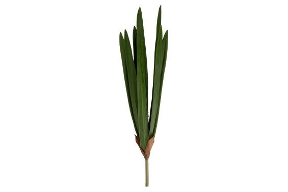 GARDEN ORCHID LEAF 59.5CM - 5926601