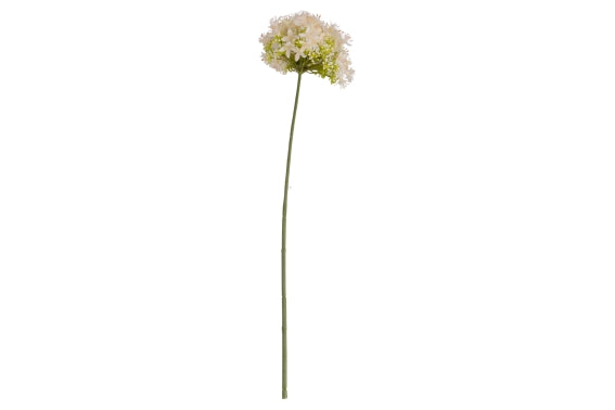 GARDEN JASMINE 68CM - 5926613