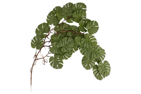 GARDEN MONSTERA 99CM - 5926615