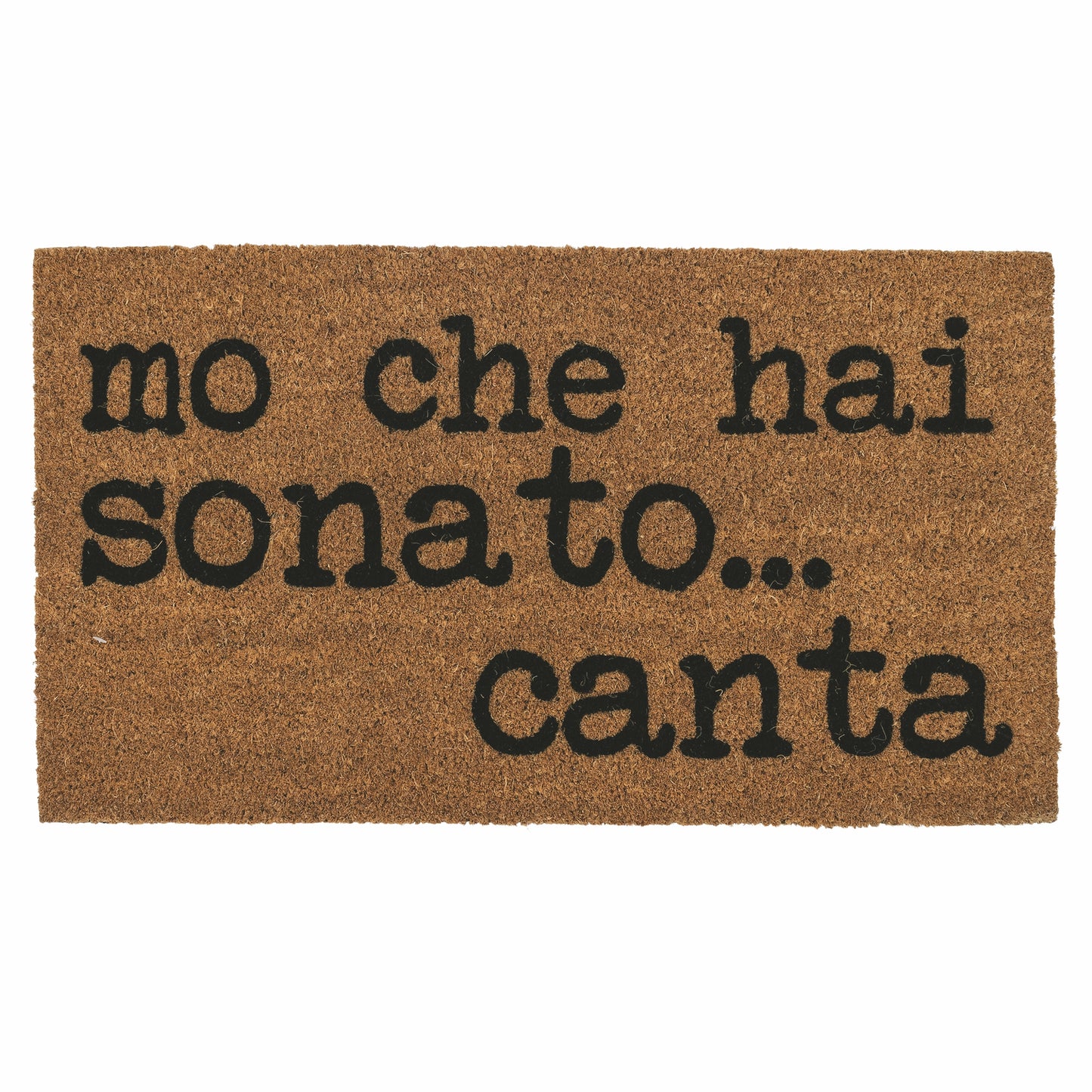 Doormat non-slip bottom 70x40 cm S.P.Q.eRe